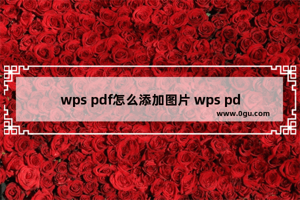 wps pdf怎么添加图片 wps pdf添加图片的方法