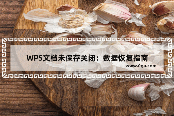 WPS文档未保存关闭：数据恢复指南