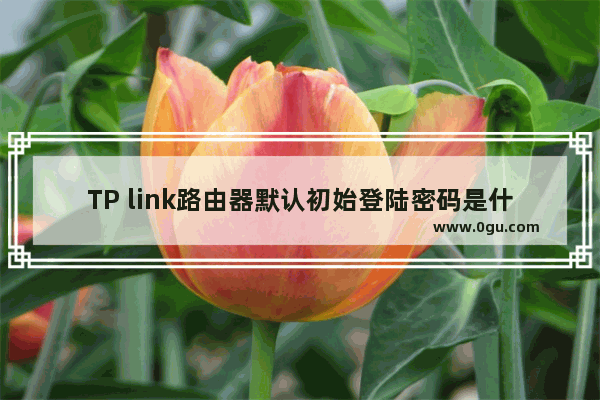 TP link路由器默认初始登陆密码是什么