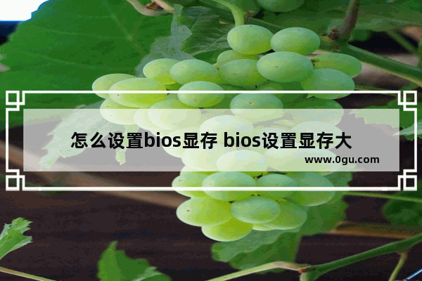 怎么设置bios显存 bios设置显存大小