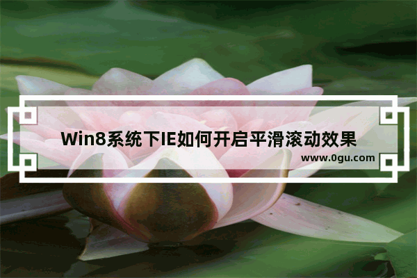 Win8系统下IE如何开启平滑滚动效果