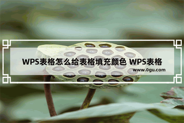 WPS表格怎么给表格填充颜色 WPS表格给表格填充颜色的方法