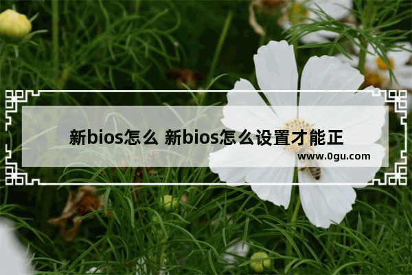 新bios怎么 新bios怎么设置才能正常启动电脑