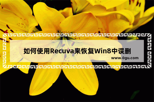 如何使用Recuva来恢复Win8中误删除的文件