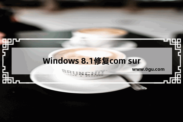 Windows 8.1修复com surrogate已停止工作的问题