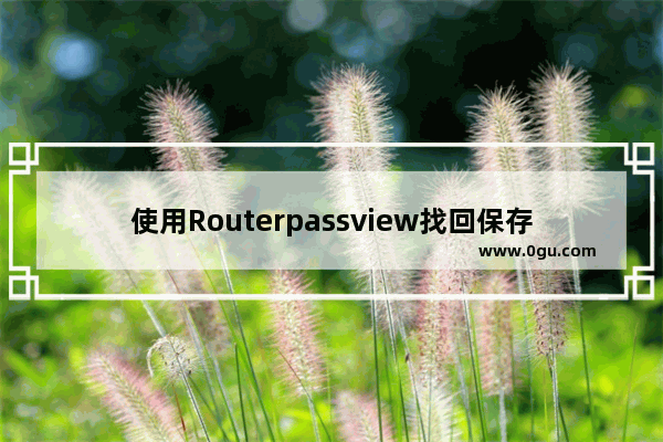 使用Routerpassview找回保存在路由器中的宽带密码的方法