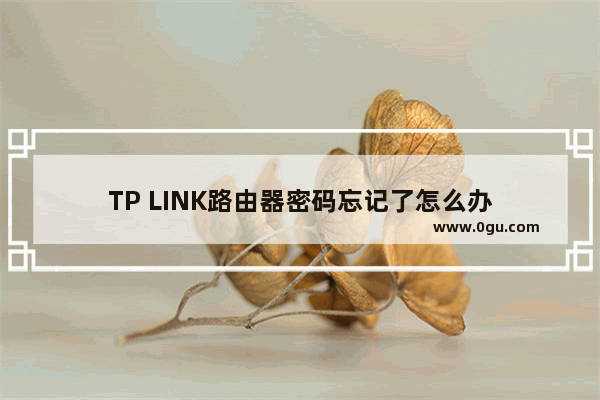 TP LINK路由器密码忘记了怎么办