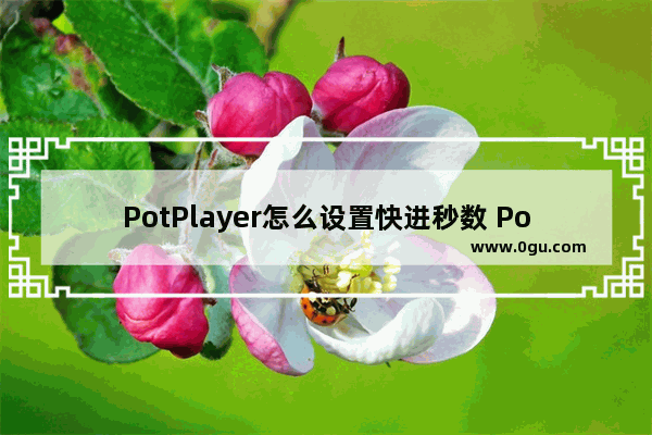 PotPlayer怎么设置快进秒数 PotPlayer设置快进秒数的方法