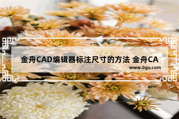 金舟CAD编辑器标注尺寸的方法 金舟CAD编辑器怎么标注尺寸