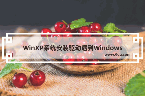 WinXP系统安装驱动遇到Windows徽标测试问题的解决方法