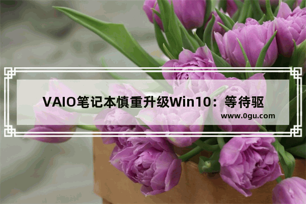 VAIO笔记本慎重升级Win10：等待驱动更新后再进行