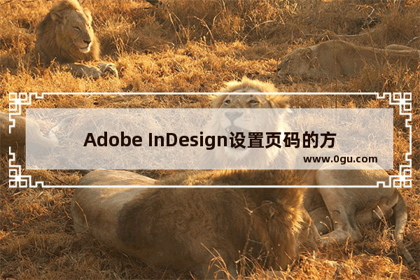 Adobe InDesign设置页码的方法 Adobe InDesign怎么设置页码