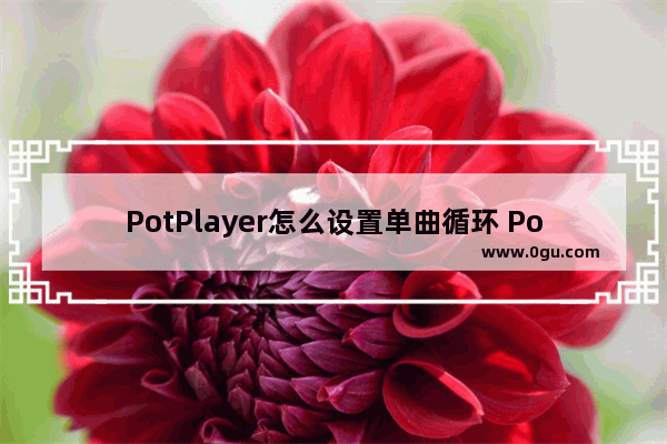 PotPlayer怎么设置单曲循环 PotPlayer设置单曲循环的方法