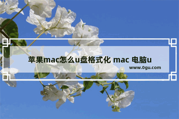 苹果mac怎么u盘格式化 mac 电脑u盘如何格式化硬盘