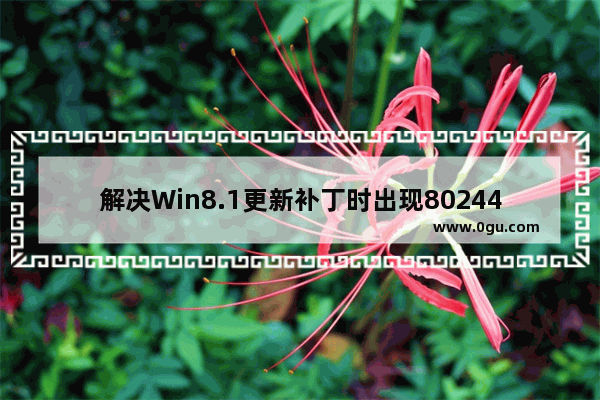 解决Win8.1更新补丁时出现8024402f错误的方法