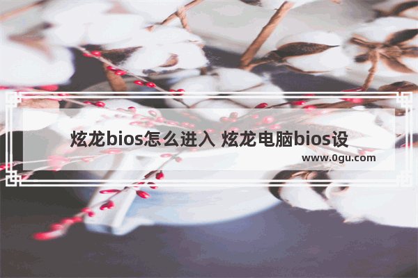 炫龙bios怎么进入 炫龙电脑bios设置图解中文