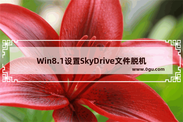 Win8.1设置SkyDrive文件脱机可用的方法