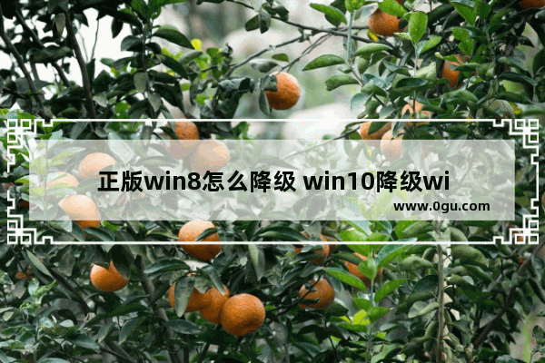 正版win8怎么降级 win10降级win81