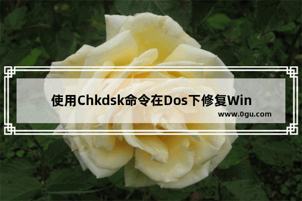 使用Chkdsk命令在Dos下修复Win8磁盘错误的方法