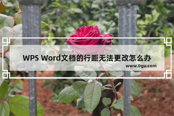 WPS Word文档的行距无法更改怎么办 WPS Word文档的行距无法更改的解决方法