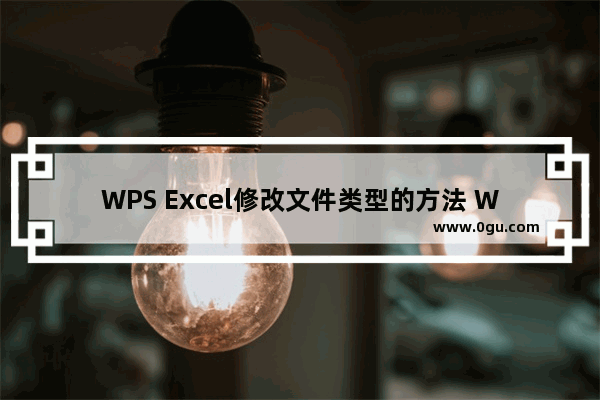 WPS Excel修改文件类型的方法 WPS Excel怎么修改文件类型