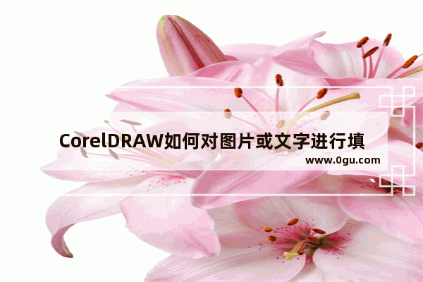 CorelDRAW如何对图片或文字进行填充 CorelDRAW对文字图片进行填充的多种方法