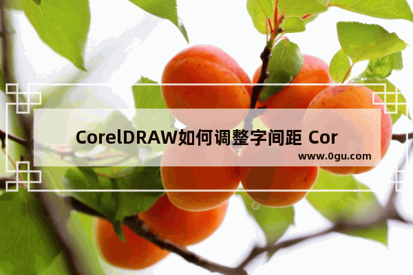 CorelDRAW如何调整字间距 CorelDRAW调整字间距的方法