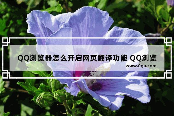 QQ浏览器怎么开启网页翻译功能 QQ浏览器开启网页翻译功能的方法