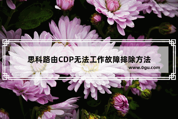 思科路由CDP无法工作故障排除方法