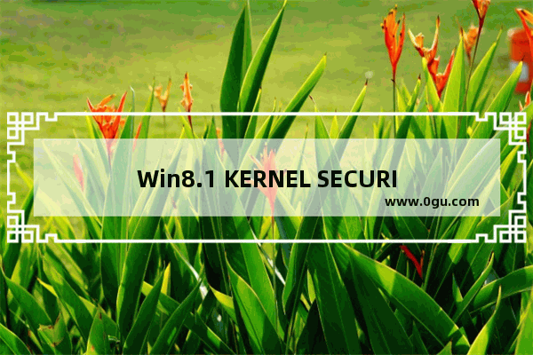 Win8.1 KERNEL SECURITY CHECK FAILURE蓝屏错误的解决方法