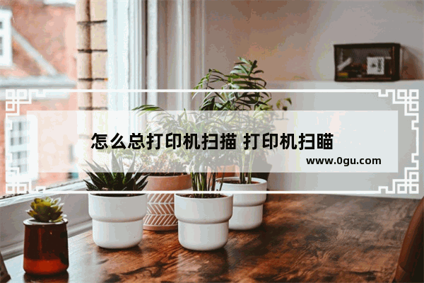 怎么总打印机扫描 打印机扫瞄