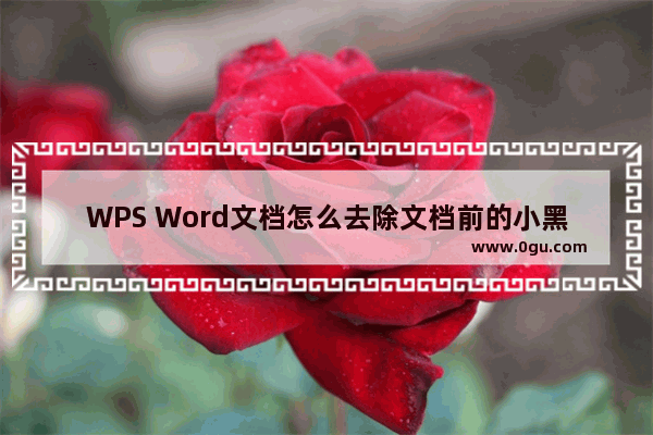 WPS Word文档怎么去除文档前的小黑点 WPS Word文档去除文档前的小黑点的方法