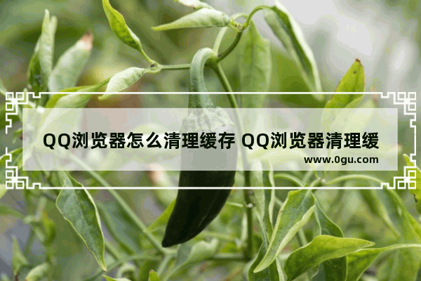 QQ浏览器怎么清理缓存 QQ浏览器清理缓存的方法