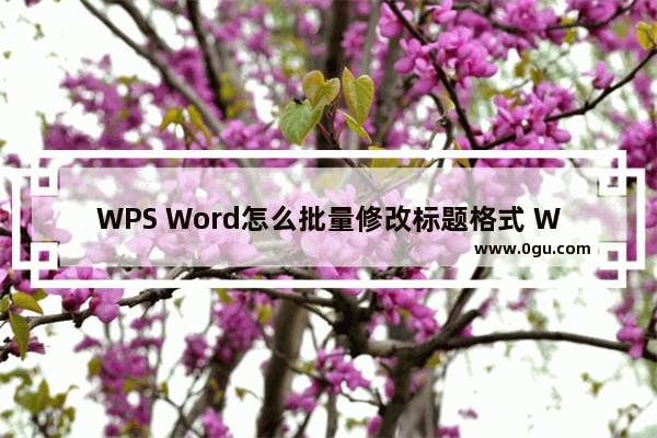 WPS Word怎么批量修改标题格式 WPS Word批量修改标题格式的方法