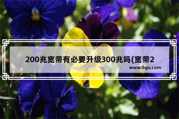 200兆宽带有必要升级300兆吗(宽带200兆怎么升级)