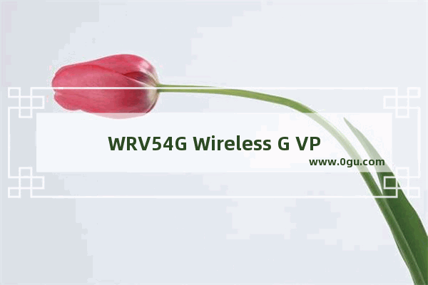 WRV54G Wireless G VPN 宽带路由器