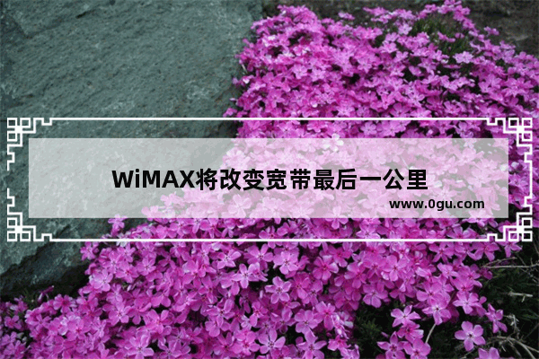 WiMAX将改变宽带最后一公里