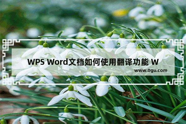 WPS Word文档如何使用翻译功能 WPS Word文档翻译文字的方法