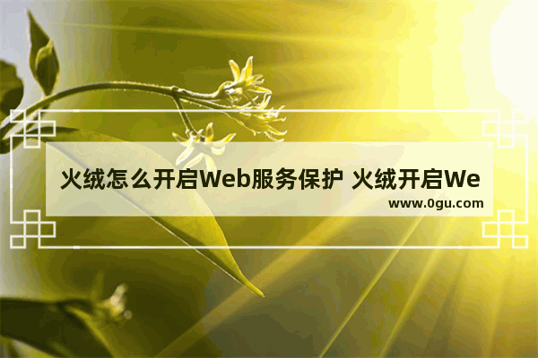 火绒怎么开启Web服务保护 火绒开启Web服务保护的方法