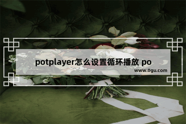 potplayer怎么设置循环播放 potplayer设置循环播放的方法