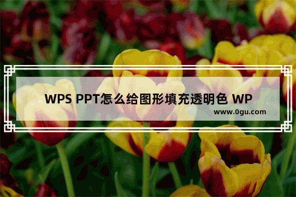 WPS PPT怎么给图形填充透明色 WPS PPT给图形填充透明色的方法