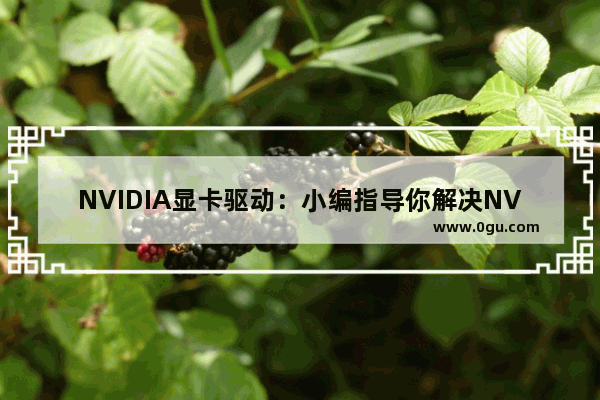 NVIDIA显卡驱动：小编指导你解决NVIDIA驱动安装失败问题