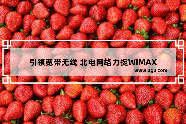 引领宽带无线 北电网络力挺WiMAX