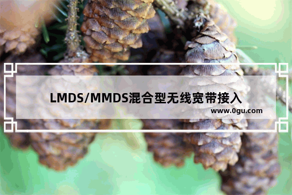 LMDS/MMDS混合型无线宽带接入