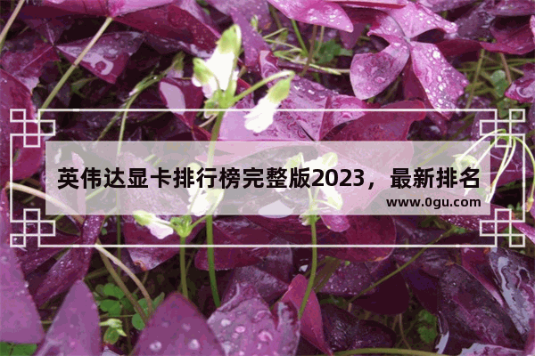 英伟达显卡排行榜完整版2023，最新排名前十揭晓