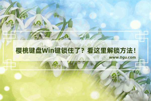 樱桃键盘Win键锁住了？看这里解锁方法！