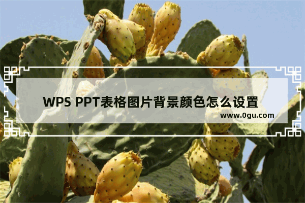 WPS PPT表格图片背景颜色怎么设置 WPS PPT表格图片背景颜色设置方法