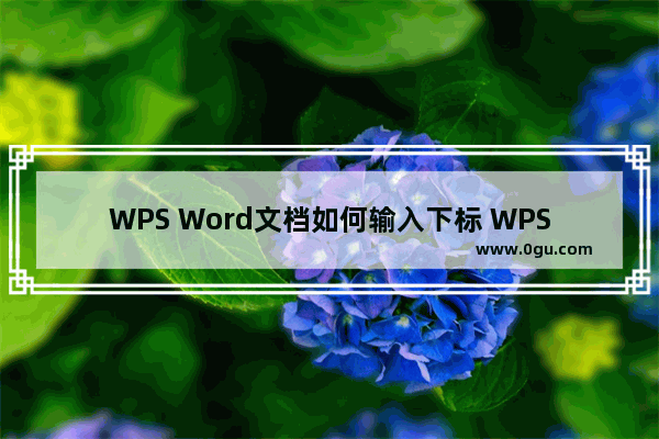 WPS Word文档如何输入下标 WPS Word文档输入下标的方法