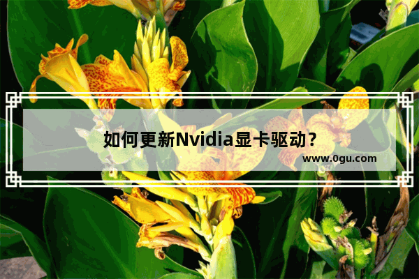 如何更新Nvidia显卡驱动？