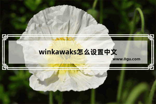 winkawaks怎么设置中文